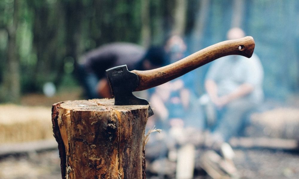 28 Different Types Of Axes – And What They’re Used For