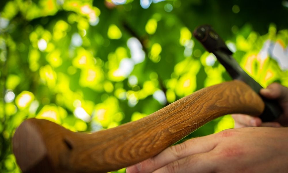 Is It Better To Oil Or Wax An Axe Handle?