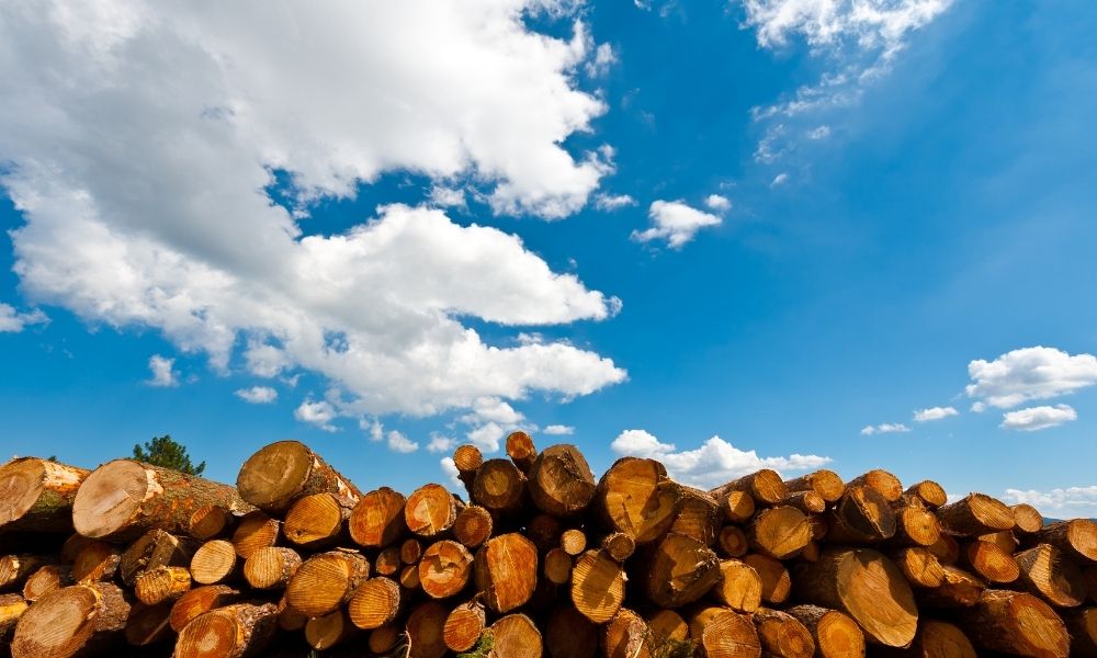 How To Season Your Logs For Optimum Firewood Efficiency