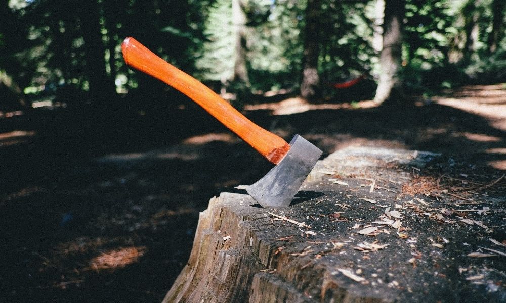10 Of The Best Camping Hatchets (Buyers Guide)