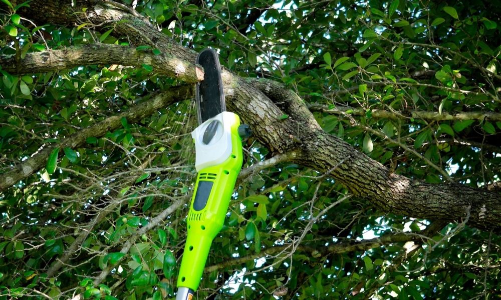 How Good Are Battery Operated Pole Saws?