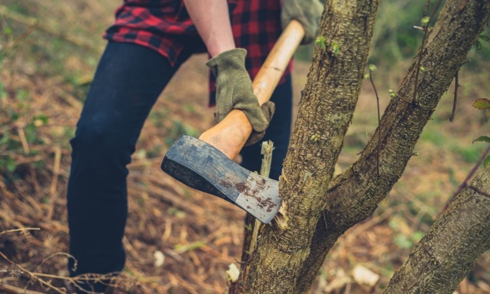 How American Made Felling Axes Are On The Rise!