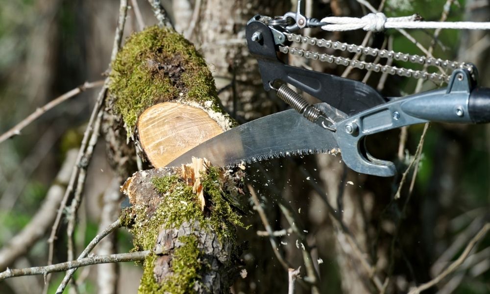 Top 5 Best Pruning Pole Saws Manual Pole Saws with Pruner Head!