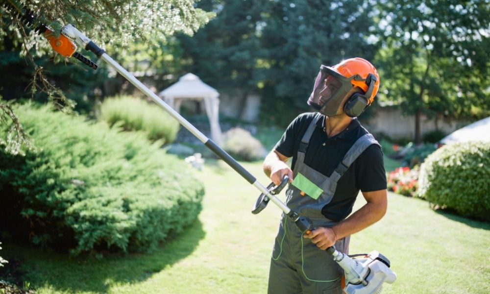 Top 5 Best Rated Cordless Pole Saws – Buyers Guide