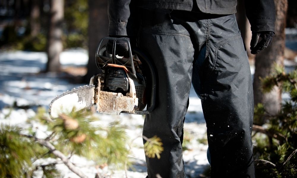 What Is Better, Chainsaw Chaps Or Pants?