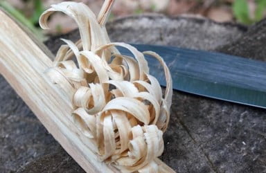 Carving feathered sticks for tinder