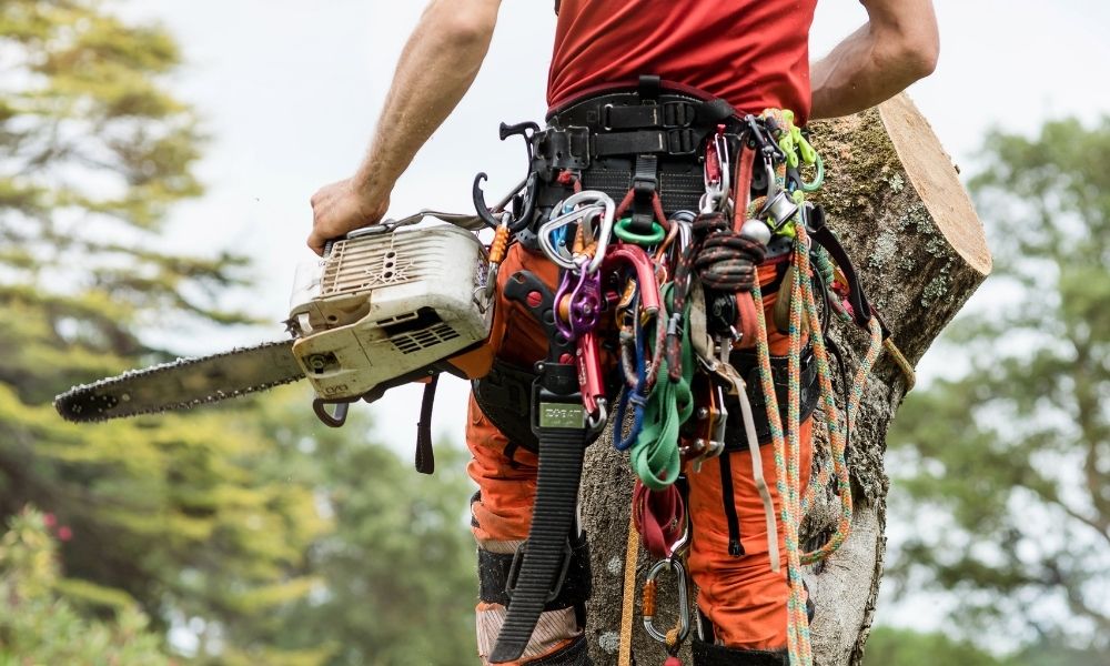 Professional Chainsaws For Maximum Results