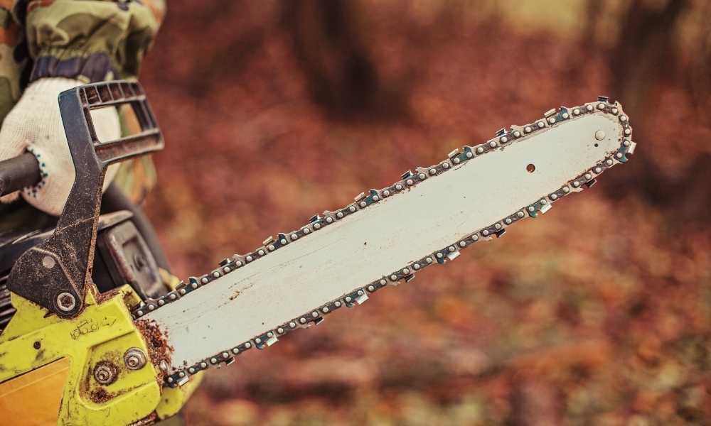 Low-Cost Chainsaws That Are Worth The Money – Best Budget Chainsaws