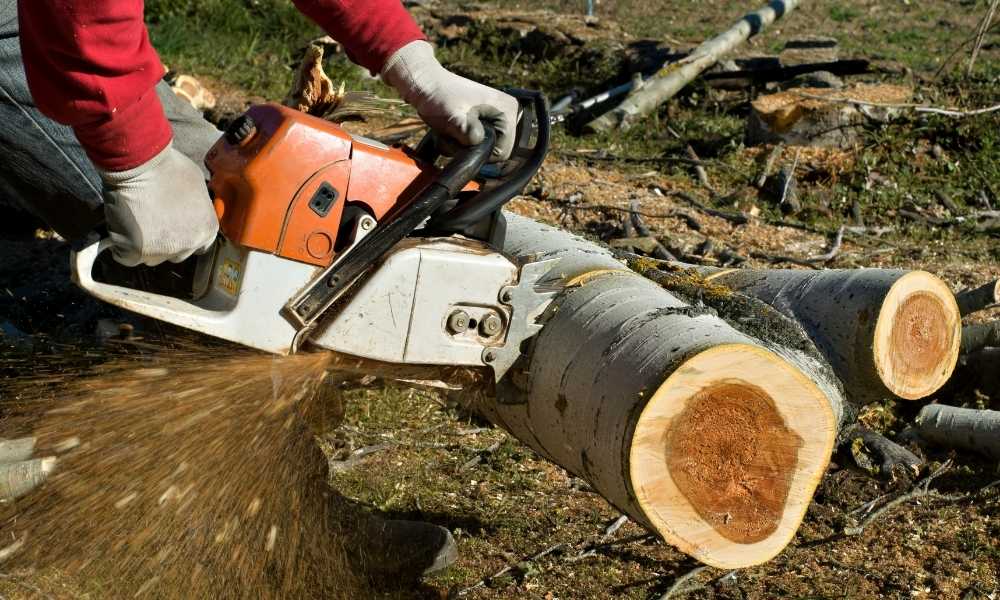 Correct size chainsaw