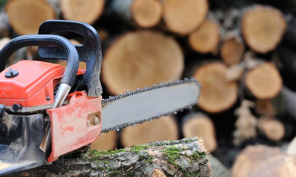 Correct size chainsaw