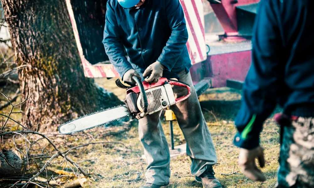 How To Use A Chainsaw