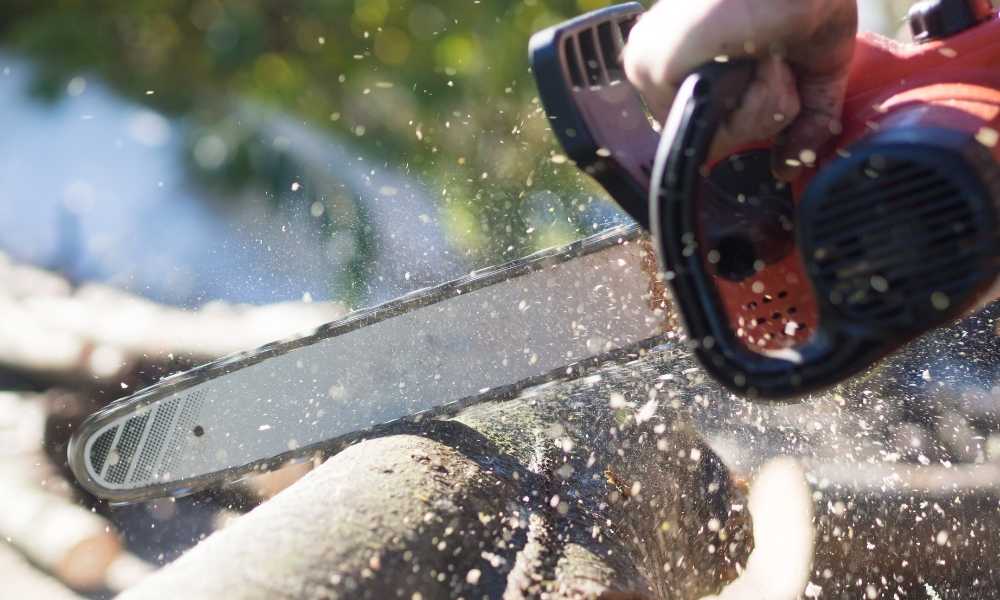 What Size Chainsaw Do I Need Ultimate Guide vrogue.co