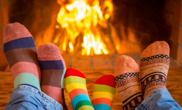 Is Ash Good Firewood? A Study Of The Best Burning Wood Types