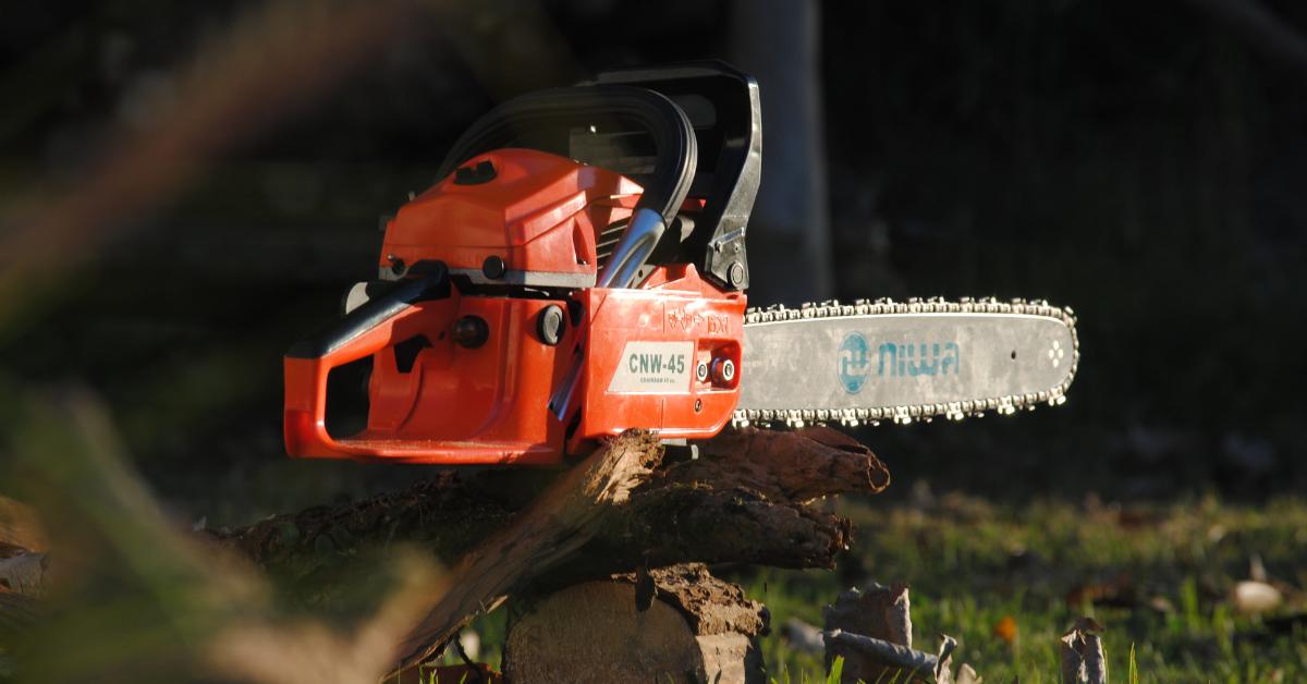How To Clean A Chainsaw Correctly The Woodcutters Son