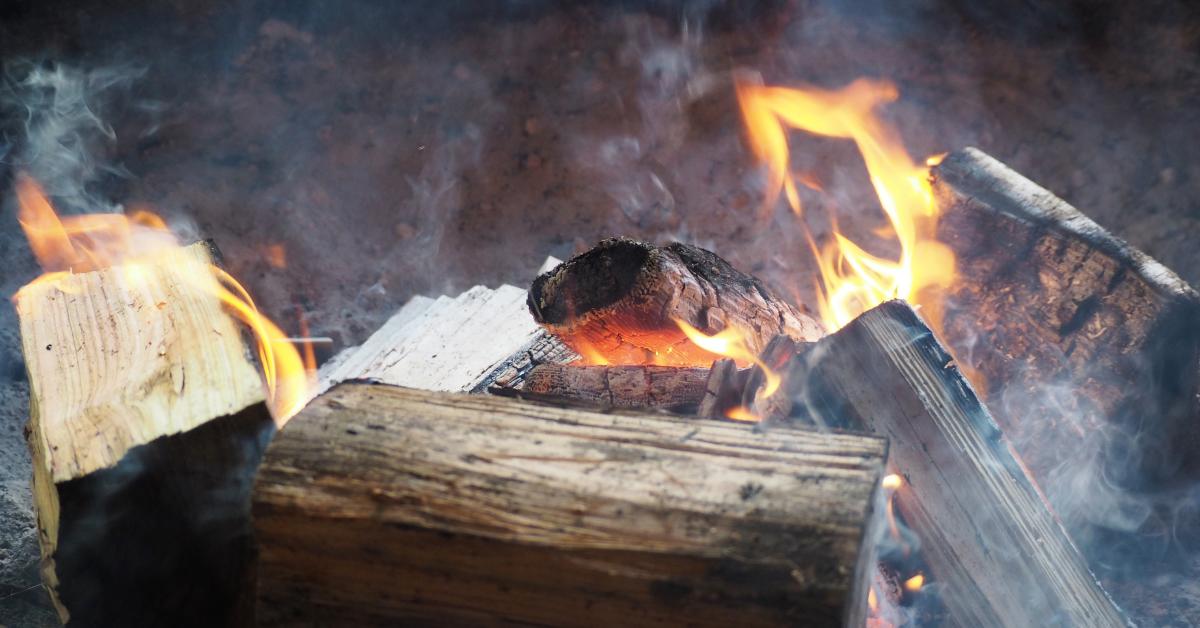 Is Burning Unseasoned Wood Really That Bad?