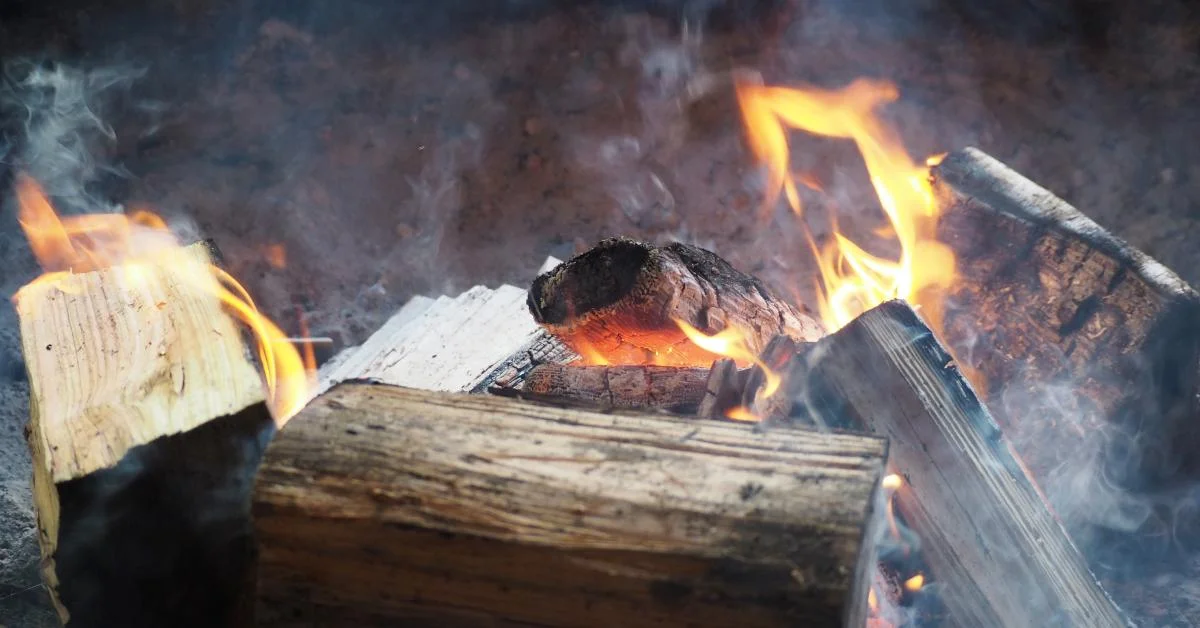 Is Burning Unseasoned Wood Really That Bad?